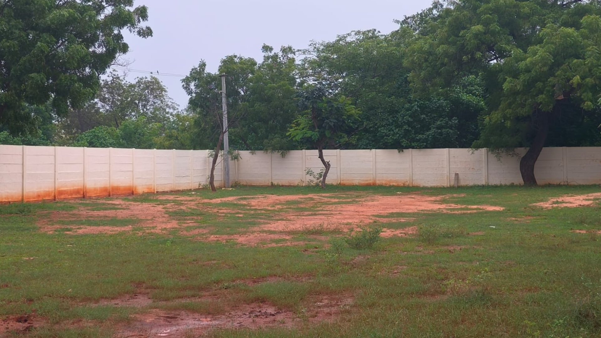 Sample Image 10