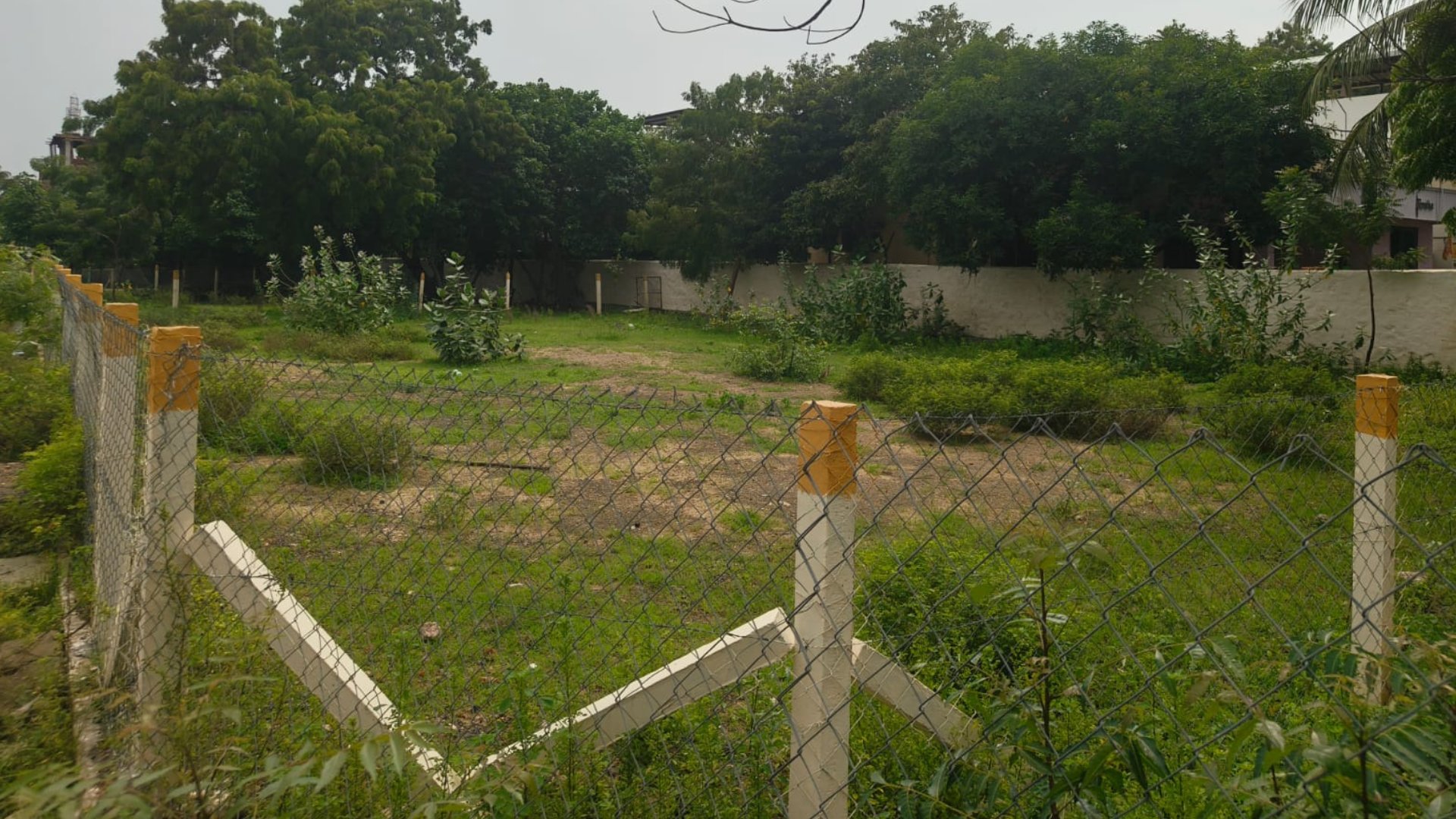 Sample Image 05